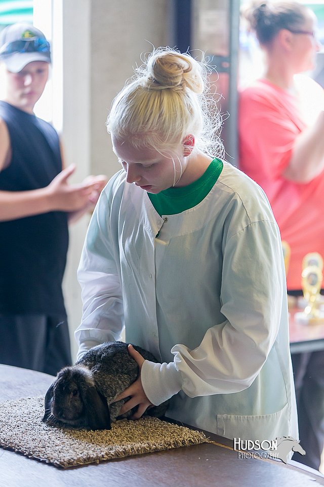 LCFair2016-0327.jpg
