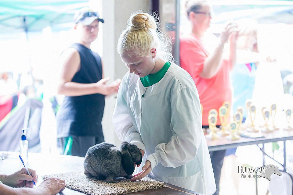 LCFair2016-0330.jpg