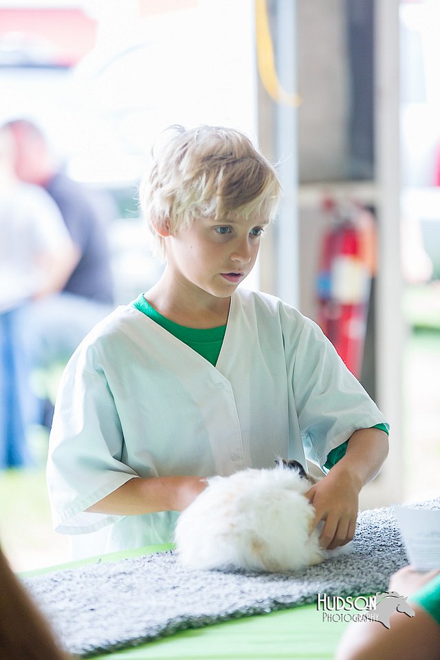 LCFair2016-0335.jpg
