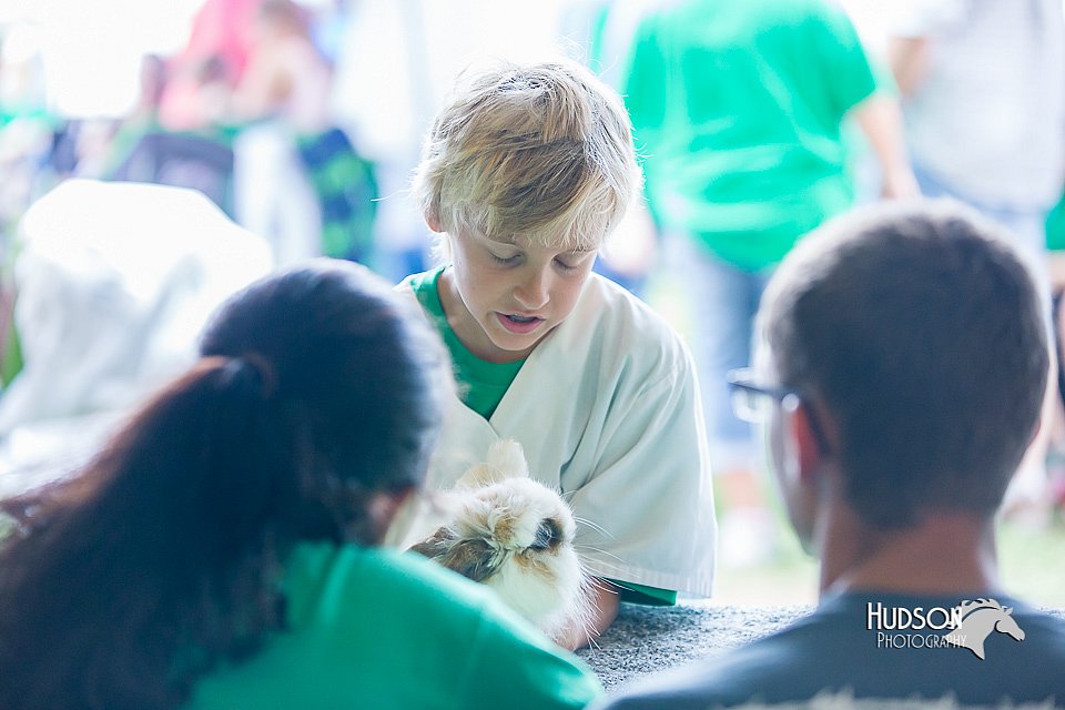 LCFair2016-0344.jpg