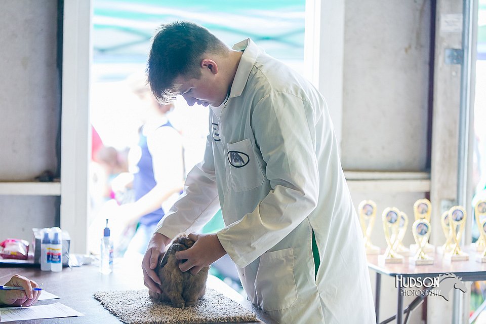 LCFair2016-0345.jpg