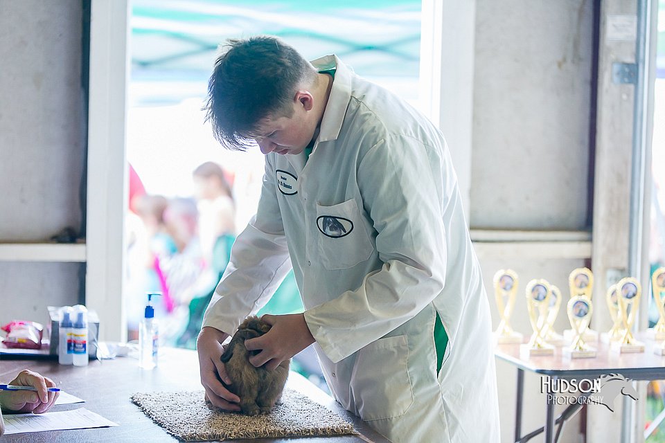 LCFair2016-0346.jpg