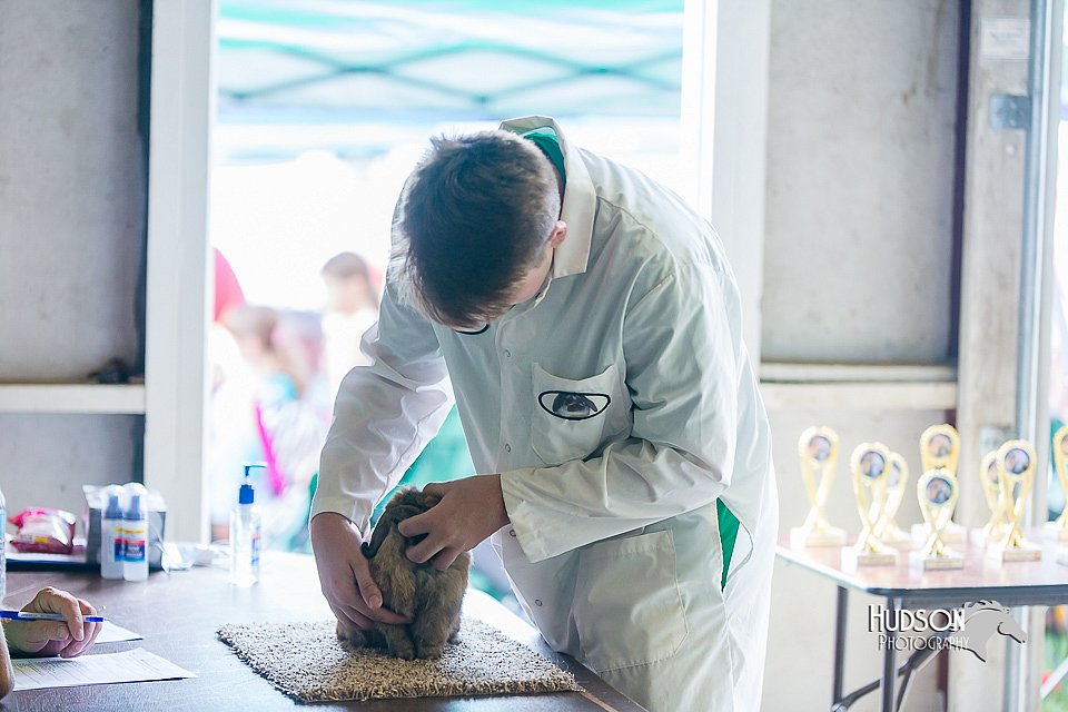 LCFair2016-0347.jpg