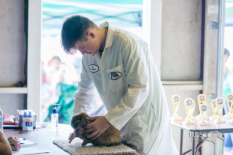 LCFair2016-0348.jpg