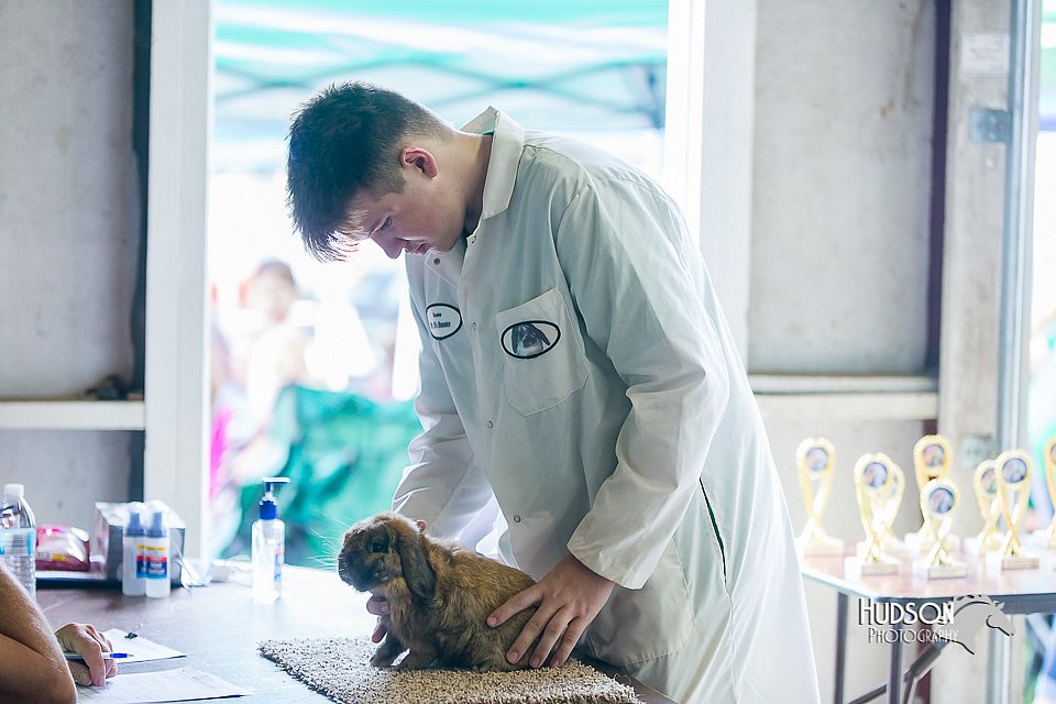 LCFair2016-0349.jpg