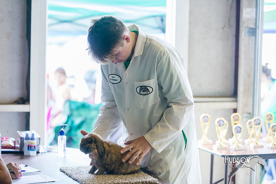 LCFair2016-0350.jpg