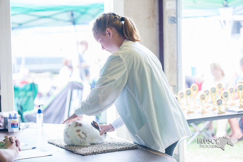 LCFair2016-0354.jpg