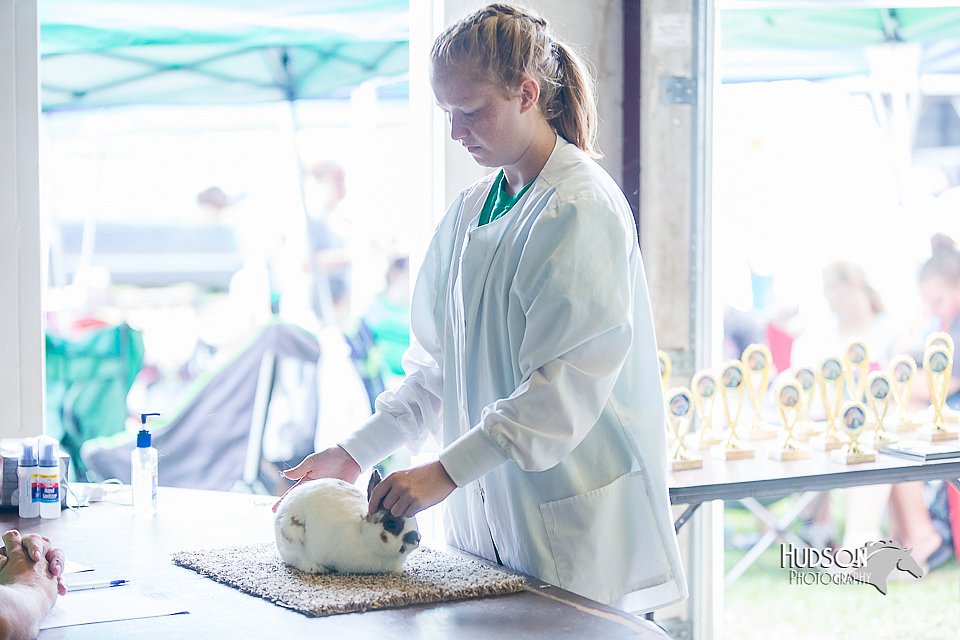LCFair2016-0355.jpg