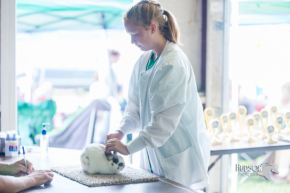 LCFair2016-0357.jpg