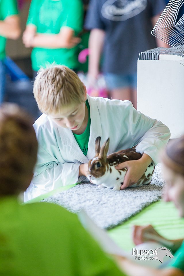 LCFair2016-0362.jpg
