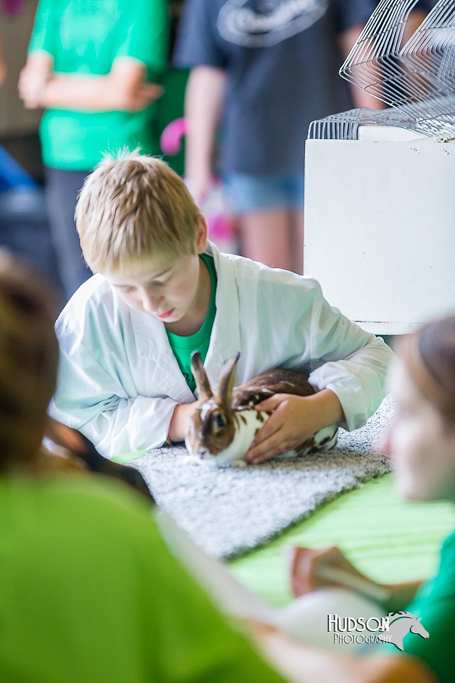 LCFair2016-0363.jpg