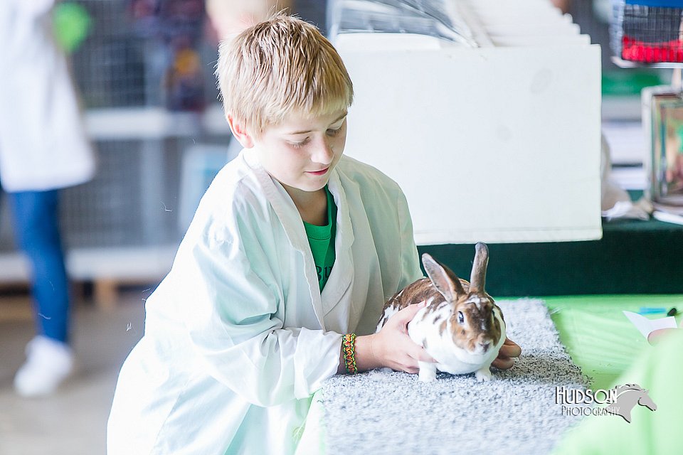 LCFair2016-0368.jpg