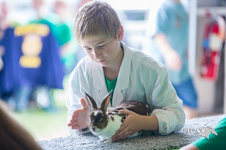LCFair2016-0371.jpg
