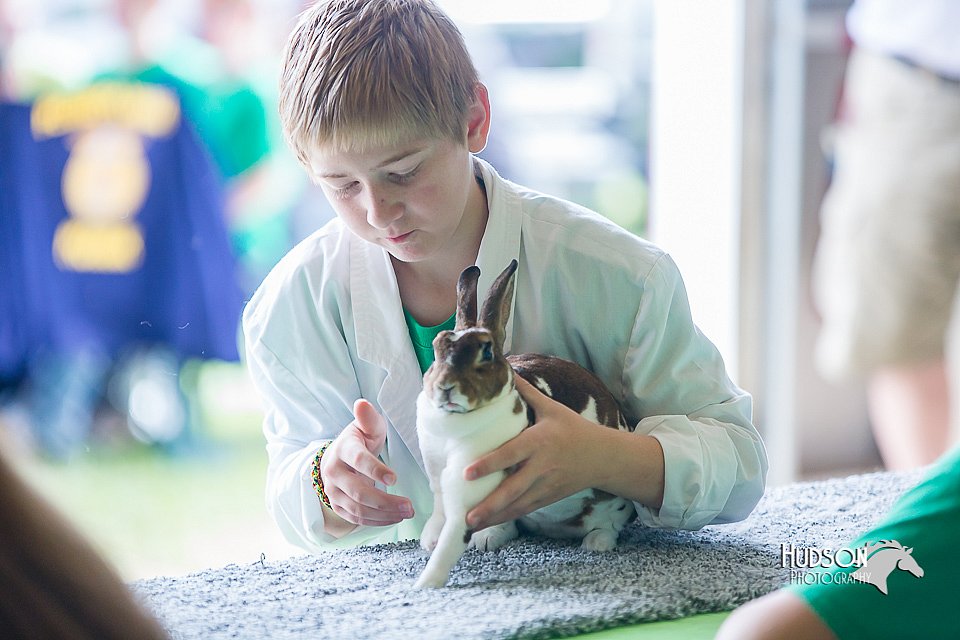 LCFair2016-0372.jpg