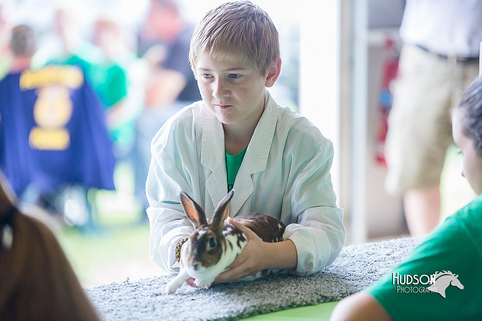 LCFair2016-0373.jpg
