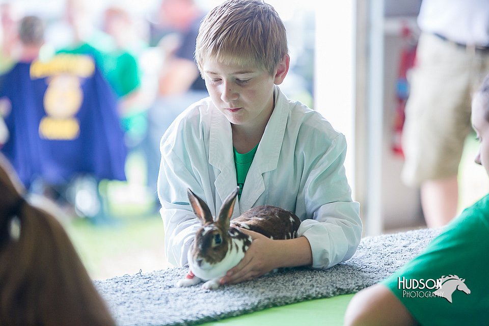 LCFair2016-0374.jpg