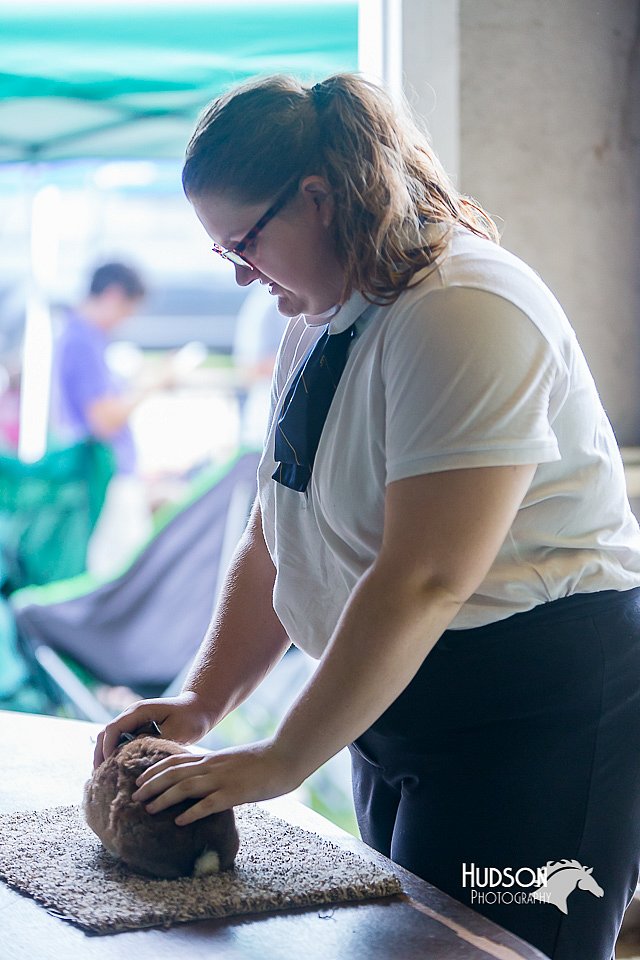 LCFair2016-0375.jpg
