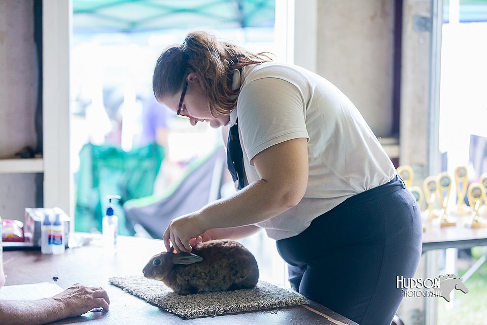 LCFair2016-0377.jpg