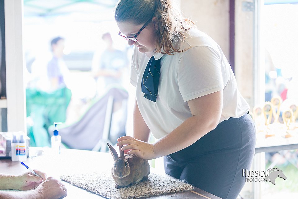 LCFair2016-0382.jpg