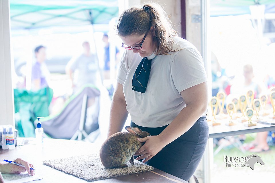 LCFair2016-0383.jpg