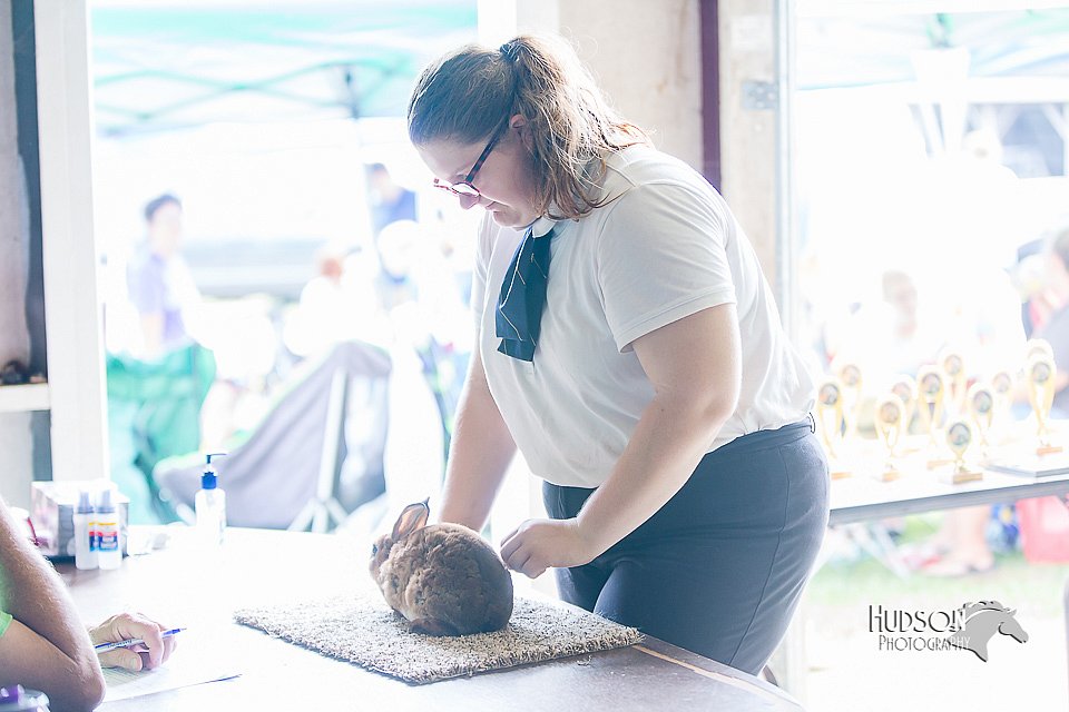 LCFair2016-0384.jpg