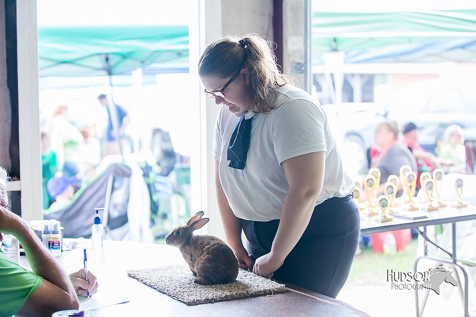 LCFair2016-0386.jpg