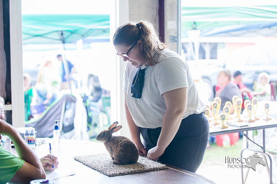 LCFair2016-0387.jpg