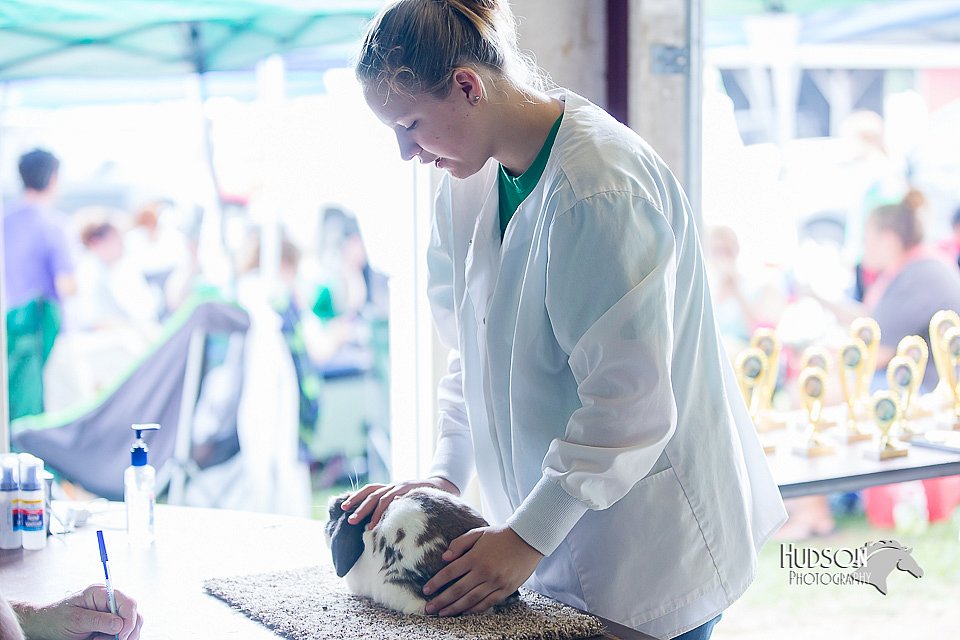 LCFair2016-0392.jpg