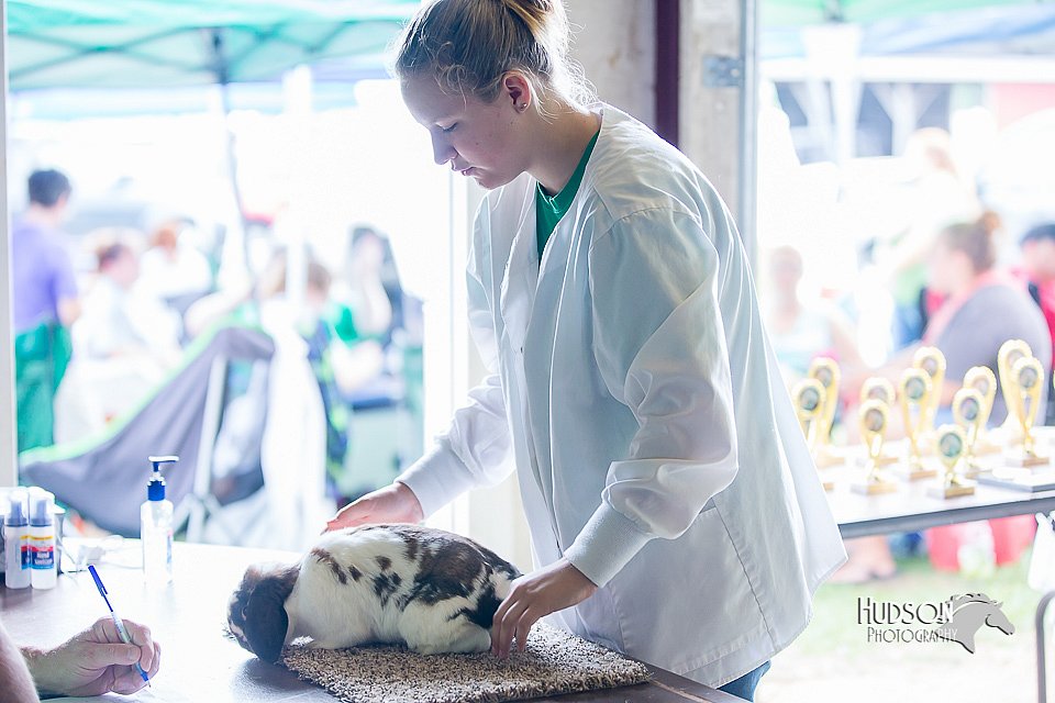 LCFair2016-0393.jpg