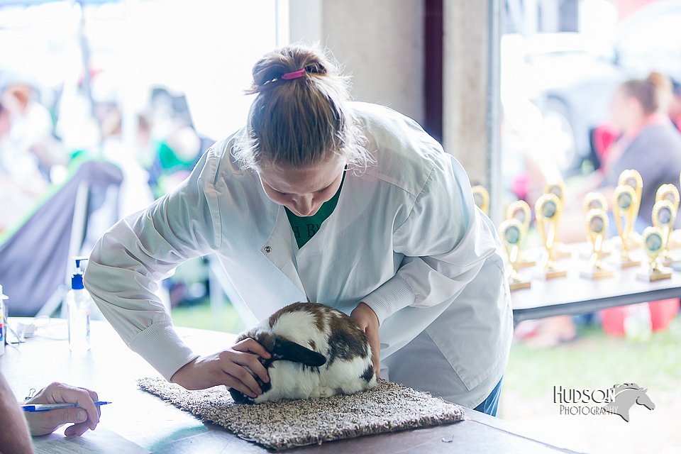 LCFair2016-0396.jpg