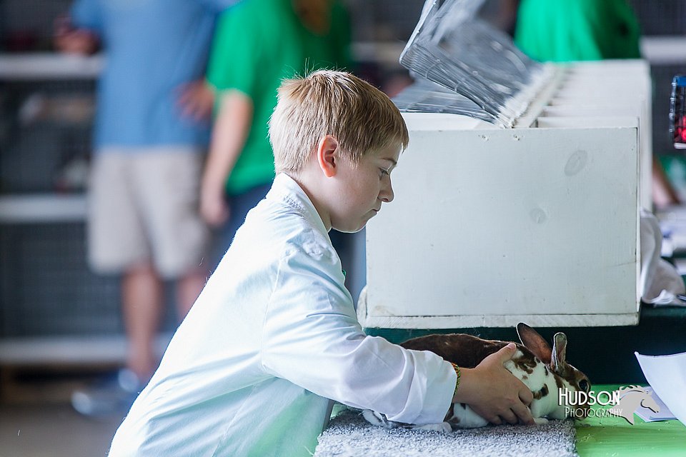 LCFair2016-0401.jpg