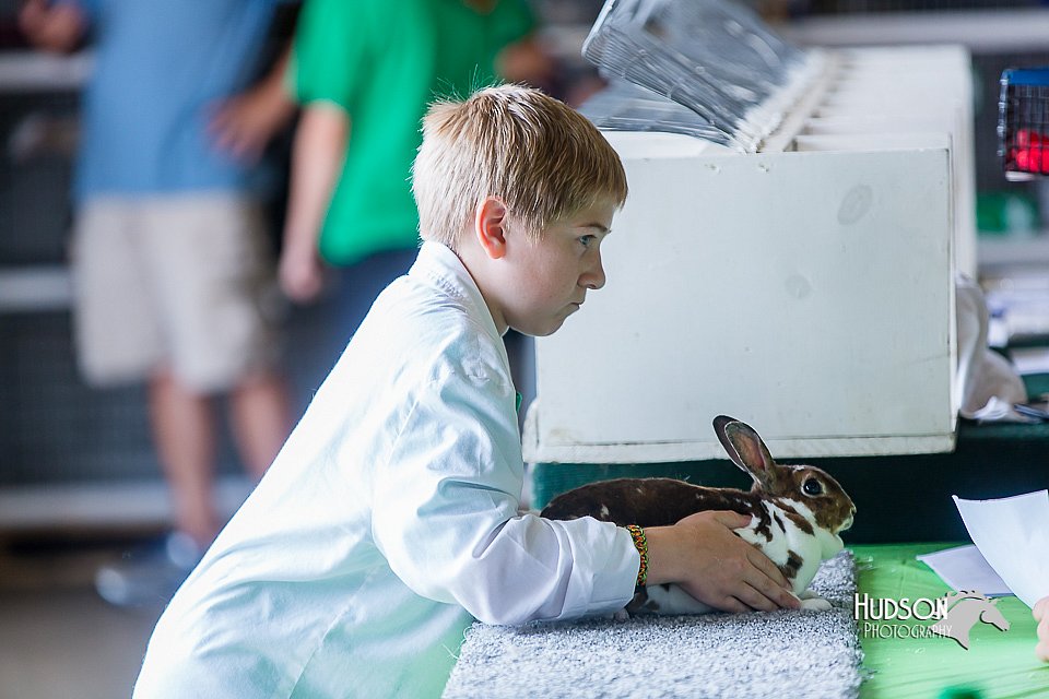 LCFair2016-0402.jpg
