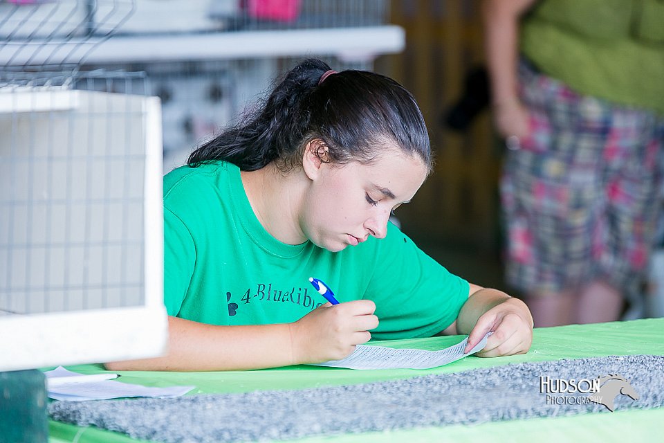 LCFair2016-0405.jpg