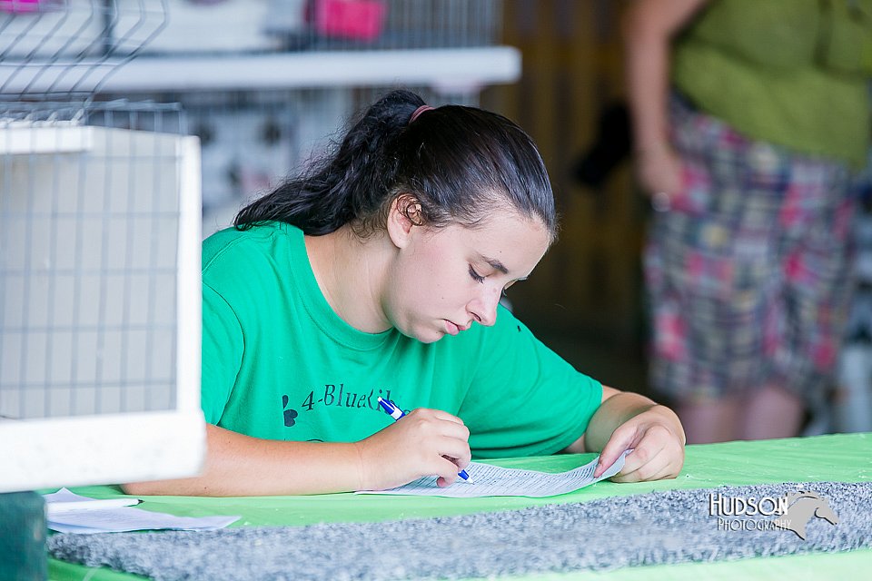 LCFair2016-0406.jpg