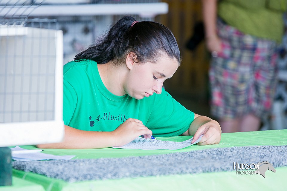LCFair2016-0407.jpg