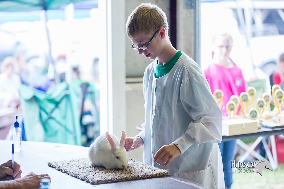 LCFair2016-0413.jpg