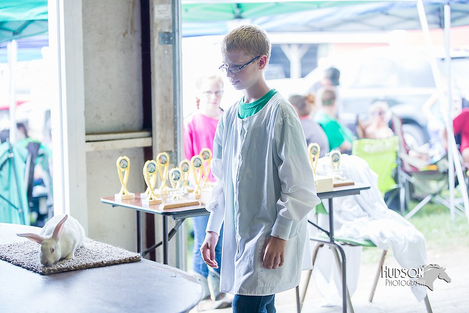 LCFair2016-0414.jpg