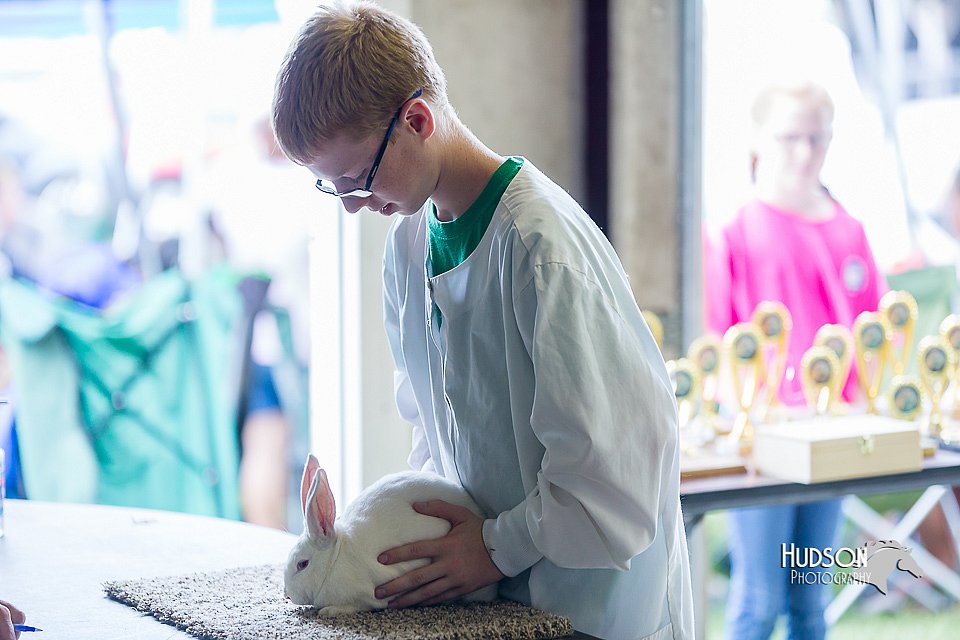 LCFair2016-0416.jpg