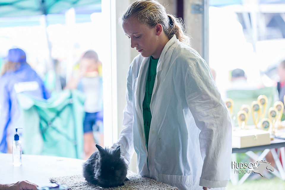 LCFair2016-0421.jpg