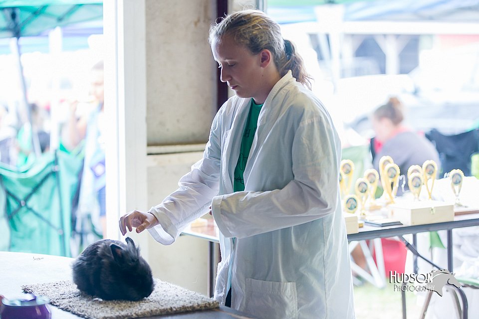 LCFair2016-0422.jpg