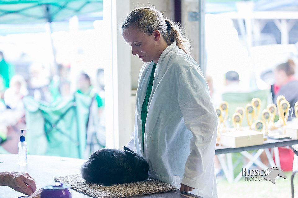 LCFair2016-0423.jpg