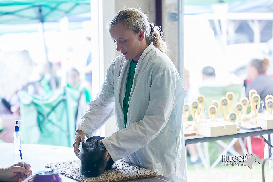 LCFair2016-0424.jpg