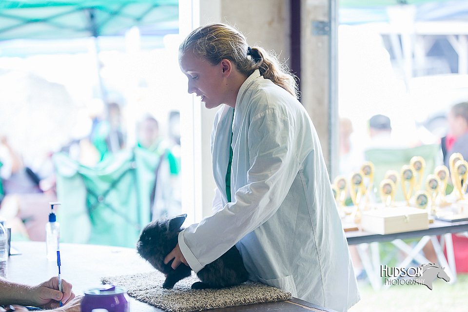LCFair2016-0425.jpg