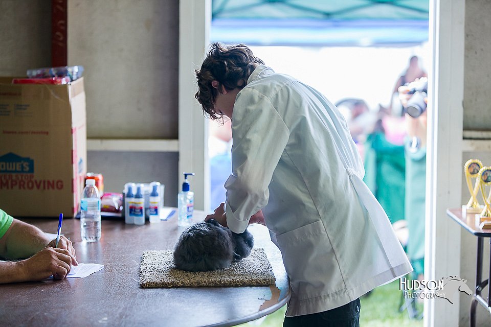 LCFair2016-0429.jpg