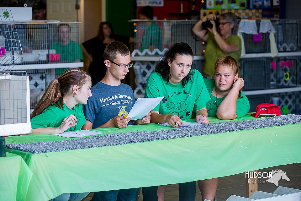 LCFair2016-0443.jpg