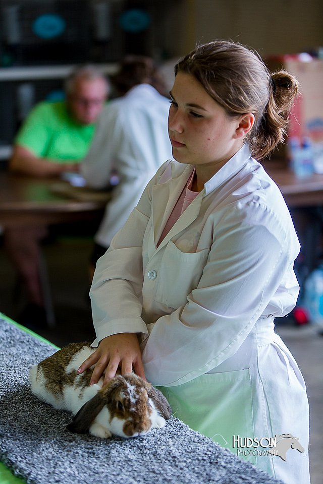 LCFair2016-0447.jpg