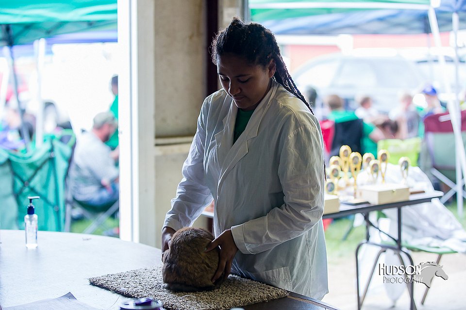 LCFair2016-0451.jpg