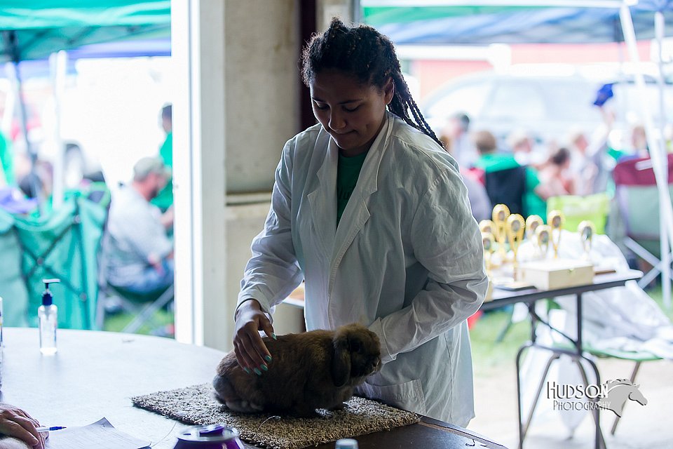 LCFair2016-0452.jpg