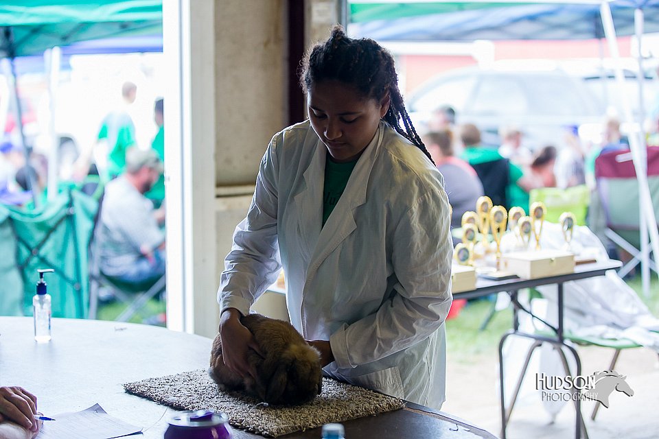 LCFair2016-0453.jpg