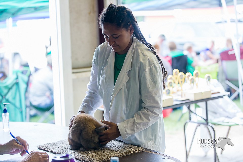 LCFair2016-0454.jpg